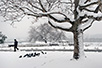 Snow in the Belgrade fortress (Photo: TOB)